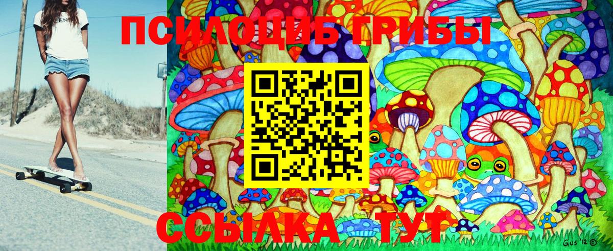 Галлюциногенные грибы Psilocybine cubensis Жигулёвск
